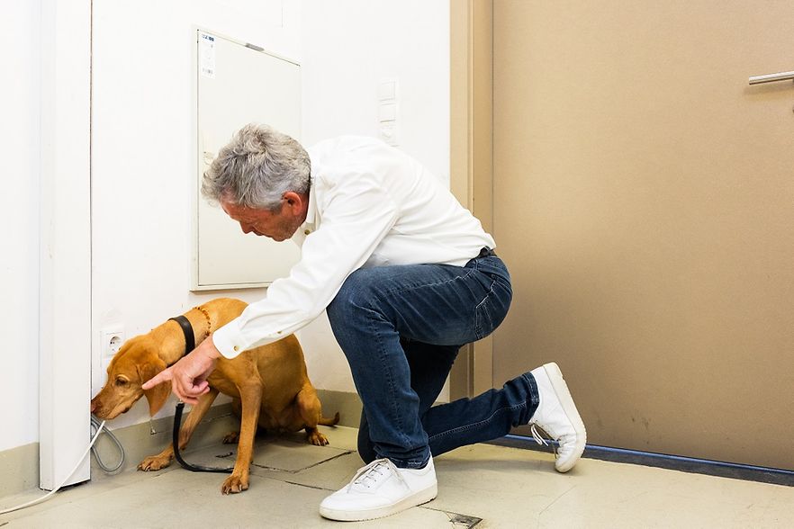 Mann kniet vor einem braunen Hund